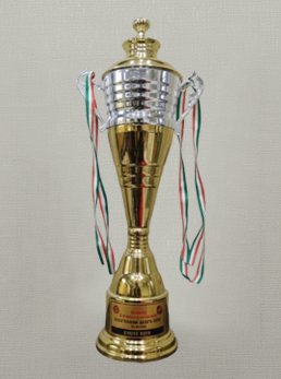 School Awards & Achievements